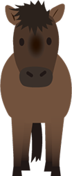 トカラ馬のイラスト